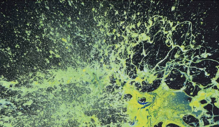 Armando Pelliccioni Arte scienza e libertà sfondo Hero